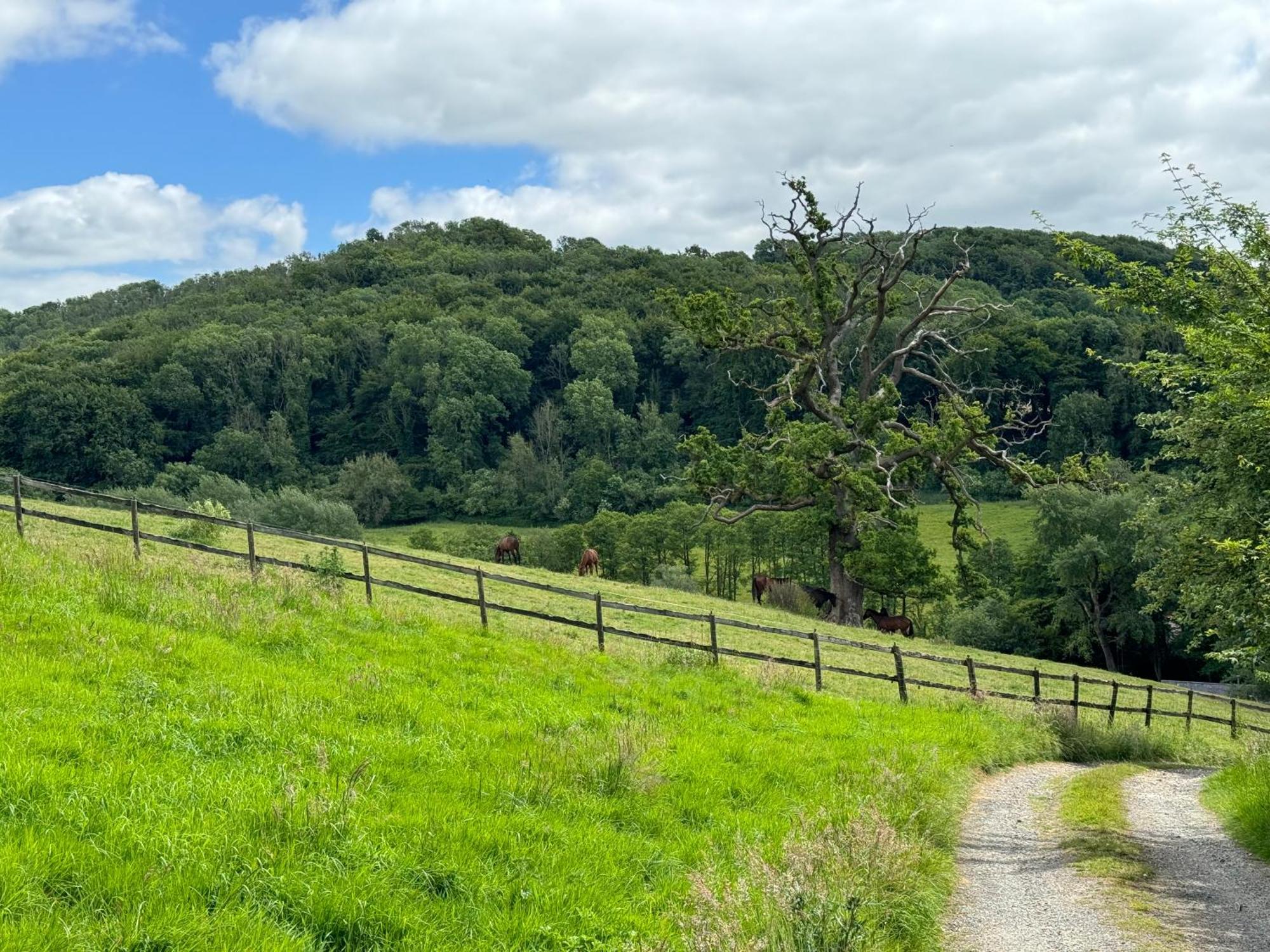 The Spring Slad Valley Cotswolds Painswick Exterior photo